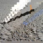 Widya Rachmasuci profile icon