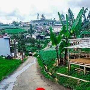 Robiatul Adawiyah profile icon