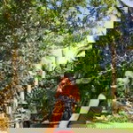 Rhealyn Glova profile icon