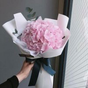 Hanny Putri profile icon