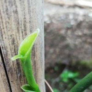 Reta Black profile icon