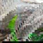 Reta Black profile icon