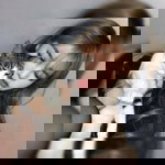 Kelliey Chang profile icon