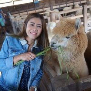 นางฟ้า รก สวรรค์ profile icon