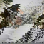 Aga Peloan Rockcity profile icon