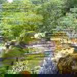 Elia Putri profile icon