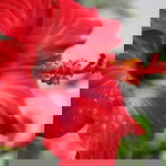 Lely Lailiah profile icon