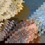 Ratna Hafizah profile icon