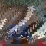 Arif Muhammad profile icon