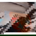 Mndaa 29 profile icon