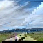 Shofiah Shofie profile icon