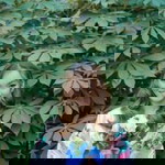 Jissel Baira profile icon