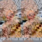 Kurnii Kurnii profile icon