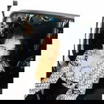 ชื่อ' บี profile icon