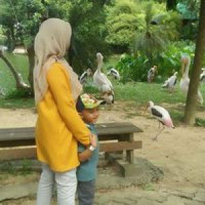 Ruzita Farmikhail profile icon