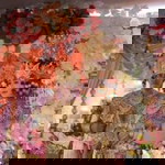 Indah Mega Silvia profile icon