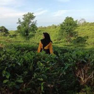 Eris Suci Rohilah profile icon