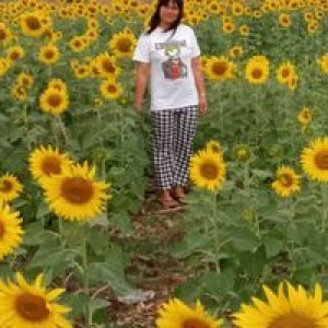 สมหมาย ชอบละคร profile icon