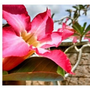 10001 _ profile icon