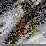 Awan Scooterist-Gasspoell profile icon