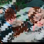 Irma Taslim profile icon