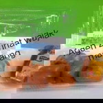 Agustina wulandari profile icon