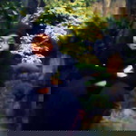 ade elvira profile icon