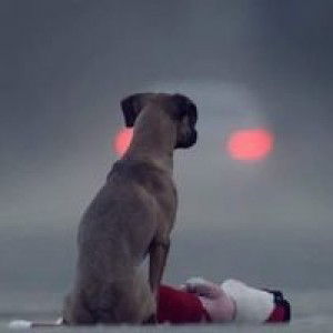 เรียก'ก สิ น้อง'จิ้งหรีด profile icon