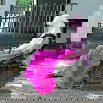 List Khumairo profile icon