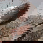 Sasha Makalew profile icon