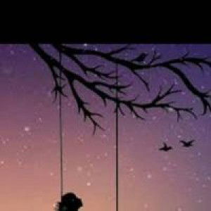 Sella Ai Reni profile icon