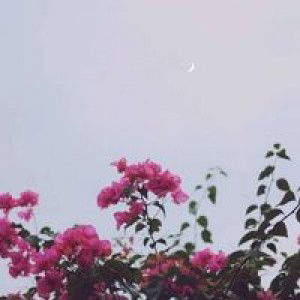 Yati Lestari profile icon