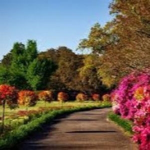 Rizka Olivia profile icon