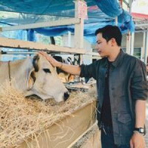 Tatchayut Chatpatum profile icon