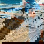 Tatchayut Chatpatum profile icon