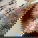 Lisha Skyla profile icon