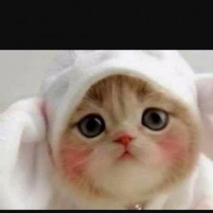 Pipit Aprilyana profile icon