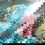 Ika Setyaningsih profile icon