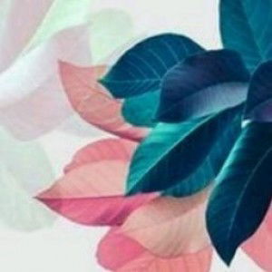 Anis Rana Syarifah profile icon