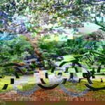 Jie Estigoy profile icon