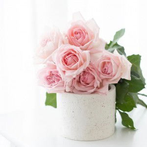 Nurshafiqa M.sidin profile icon