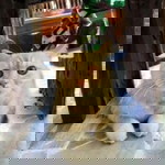 เจ้าหนู มารี profile icon