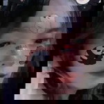 Dương Đặng Tú Bình profile icon