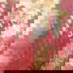 Nur Vikih profile icon