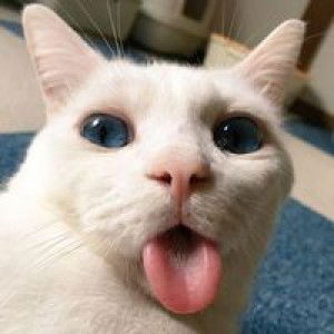 Oan Oan profile icon