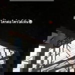 Su Hada profile icon