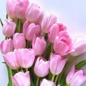 Muslihatul Hasanah profile icon