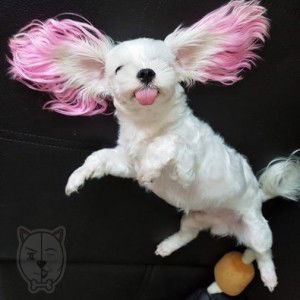 Miss.Namfon Pananchai profile icon