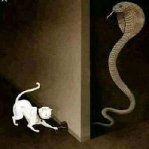 Bustomi Bahruddin profile icon