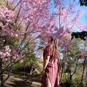 Satitporn Mewmew Jittadoo profile icon